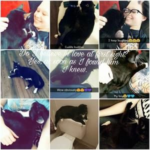 Meet your Posher, Kayla